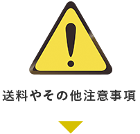 送料やその他注意事項